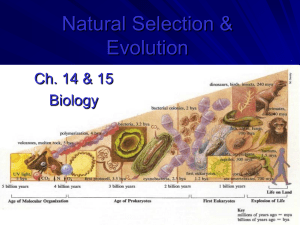 bio evolution ppt