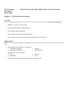 Chapter 2 (NEW) Study Guide w.Answers