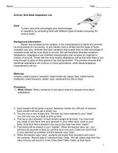 bird beak adaptations lab worksheet