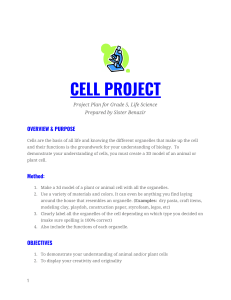 5th Grade Cell Project