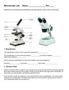Microscope Lab 2014