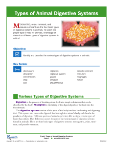 types of digestive systems - animals