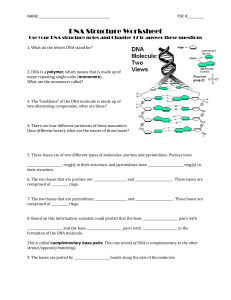 2019 DNA structure worksheet
