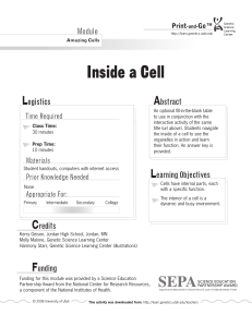 Cell structure OK