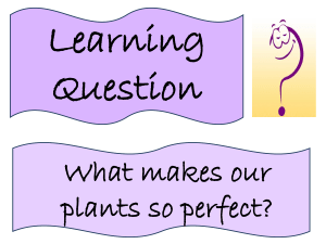 Lesson 8 - Perfect Plants