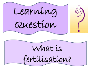 Lesson 6 - Fertilisation