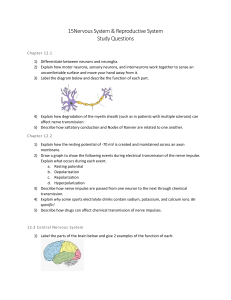 Study Questions for Nervous System & Reproductive System