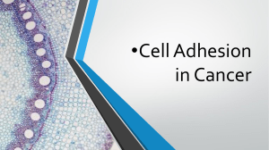 Addition in cancer cell