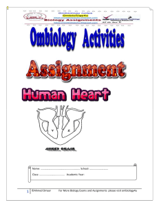 ASSIGNMENT  BLOOD AND HUMAN HEART By Axmed Omaar