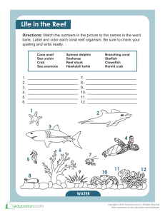 coral-reef-animals-and-plants matching worksheet