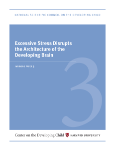 Stress Disrupts Architecture Developing Brain