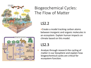 Carbon and Biogeochemical cycles Lesson