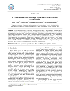 Trichoderma asperellum, a potential fungal biocontrol agent against Aspergillus niger