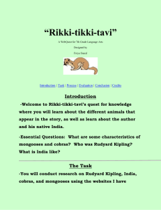 Rikki-WebQuest-uly1kk