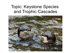 Keystone species PPT