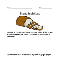 BreadMoldLab