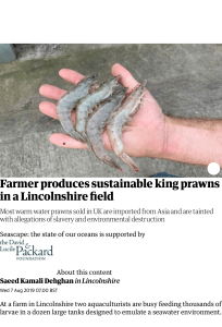 Farmer produces sustainable king prawns in a Lincolnshire field | Environment | The Guardian