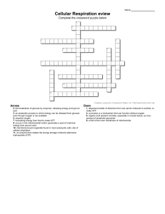 cellular respiration crossword.student