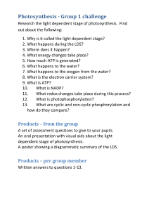 Photosynthesis challenge for A level Biology