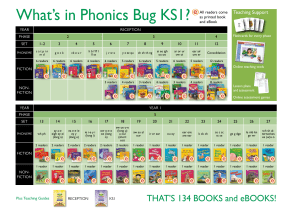 Phonics Bug Comp chart