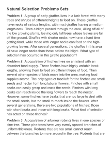 Types of Natural Selection Problems Sets