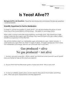 Is Yeast Alive Lab