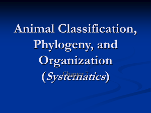 fdocuments.net animal-classification-phylogeny-and-organization-systematics-chapter