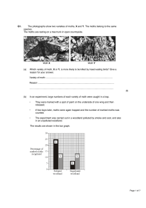 Peppered Moth Questions