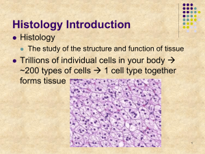 Histology Introduction