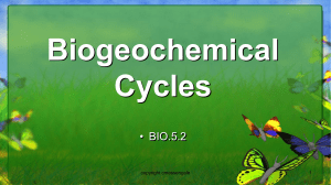 BIO.5.2- Biogeochemical Cycles