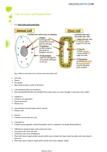 bio notes