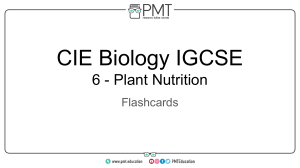 Flashcards - Topic 6 Plant Nutrition - CIE Biology IGCSE