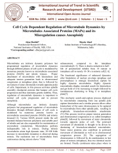 Cell Cycle Dependent Regulation of Microtubule Dynamics by Microtubules Associated Proteins MAPs and its Misregulation causes Aneuploidy
