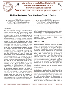 Biodiesel Production from Oleaginous Yeast