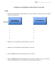 Internal & External Influences Worksheet