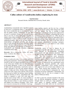 Callus culture of Azadirachta indica employing its stem
