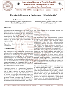 Phototactic Response in Earthworm - "Eisenia foetida"