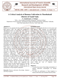 A Critical Analysis of Banana Cultivation in Thoothukudi District of Tamil Nadu