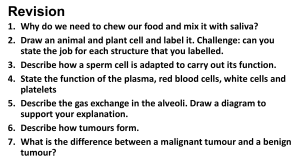 Revision_Plant and Animal Cells