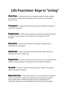 Life Functions- Keys to “Living”