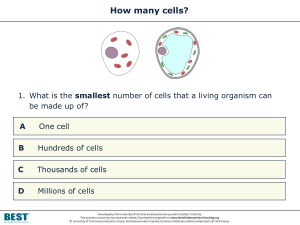 Diagnostic How many cells