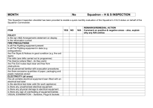 Squadron Health and Safety inspection checklist