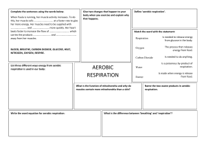 Aerobic-Respiration-Worksheet