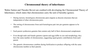 Chromosome behaviour during life cycle 