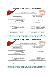 regulation of blood glucose cycle worksheet