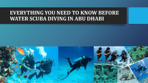 Everything You Need to Know before water scuba diving in Abu Dhabi