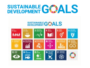 Sustainable Development Goals Lesson 1 No Poverty