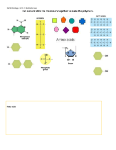2c Cut out and assemble the monomers