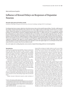 Kobayashi Schultz 2008 Influence of reward delays on responses of dopamine neurons