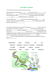 From DNA  to protein worksheet